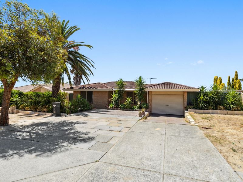 19 Apple Blossom Drive, Mirrabooka WA 6061