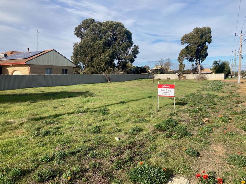 103 Avon  Street, Katanning