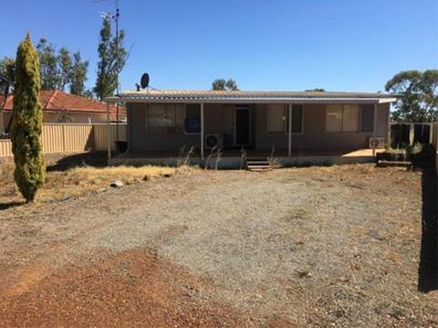 19 Livingstone Street, Perenjori WA 6620