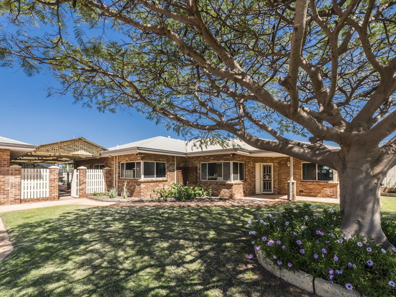 13 Calythrix Court, Strathalbyn