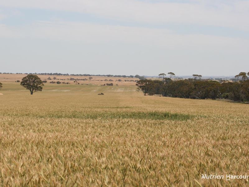 . Cnr Nembudding South Road & Hammond Road, Korrelocking WA 6485