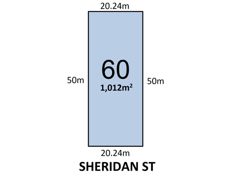 60 Sheridan Street, Menzies WA 6436