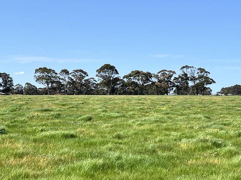 Lot 255,  STAGE 2 - Albany Views Private Estate - Albany Views Private Estate, Drome, Albany WA 6330
