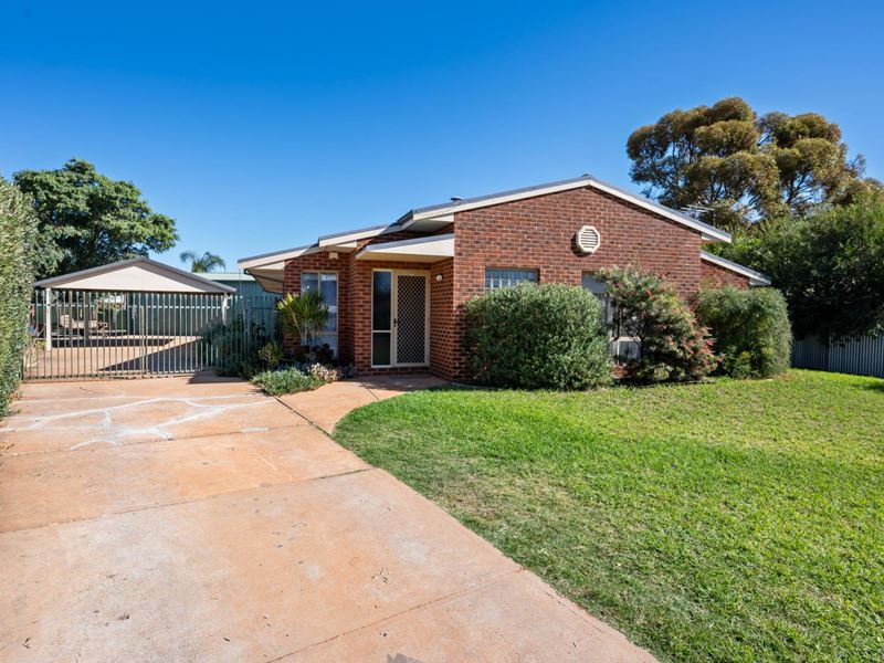 10 Siberia Close, Hannans WA 6430