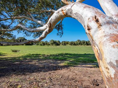 1038C Chapman Road, Glenfield WA 6532