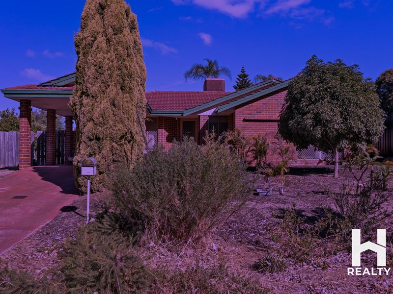 10 Polyantha Gardens, Mirrabooka WA 6061