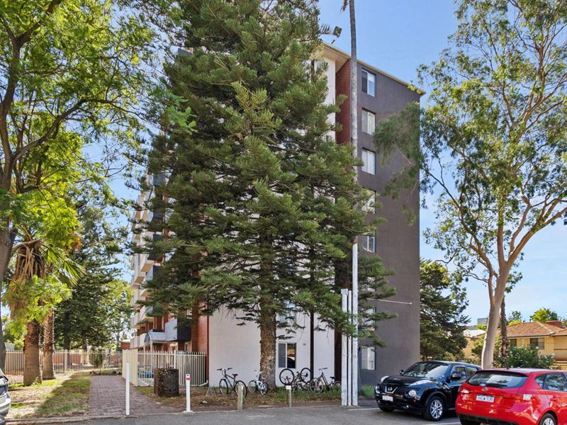 38/12 Tenth Avenue, Maylands