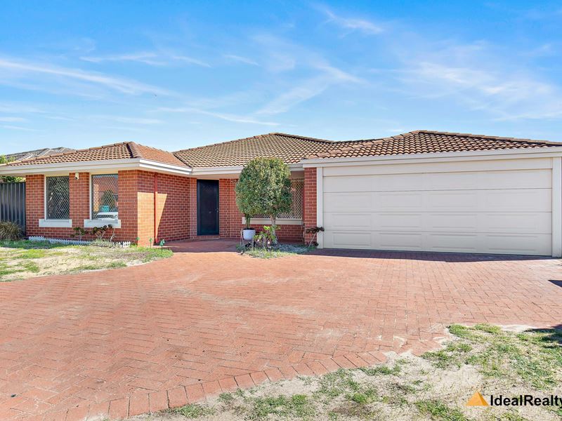 1 satinwood court, Thornlie WA 6108