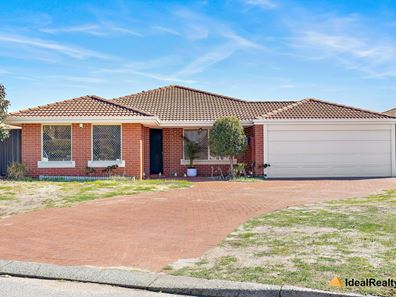 1 satinwood court, Thornlie WA 6108