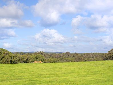 Lot 34,  Blackwood Grove, Kudardup WA 6290