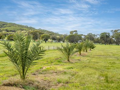 Lot 20,  Gratte Street, Northam WA 6401