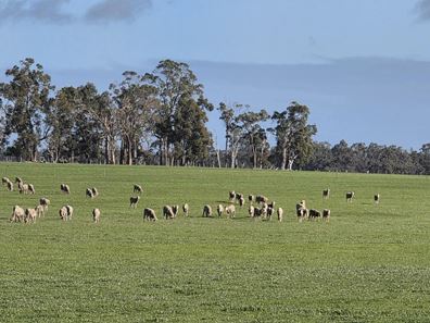 Lot 5 Sandalwood Road, Darkan WA 6392