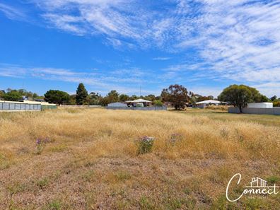 93 Georgiana Street, York WA 6302