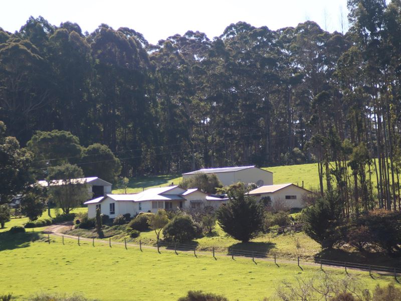875 Valley Of The Giants Road, Denmark WA 6333