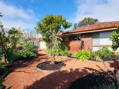 8 Pucas Court, Beechboro WA 6063