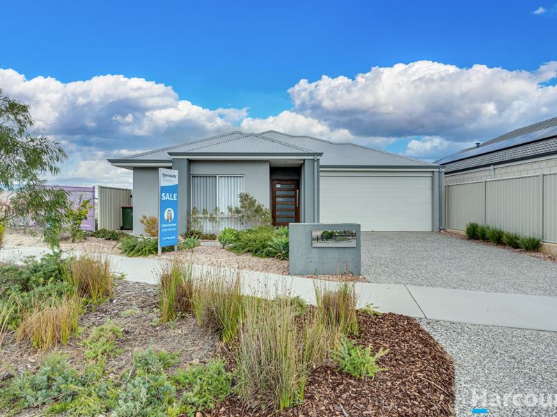 133 Hawksbill Drive, Alkimos WA 6038