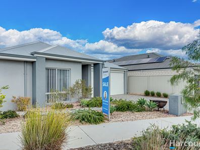 133 Hawksbill Drive, Alkimos WA 6038