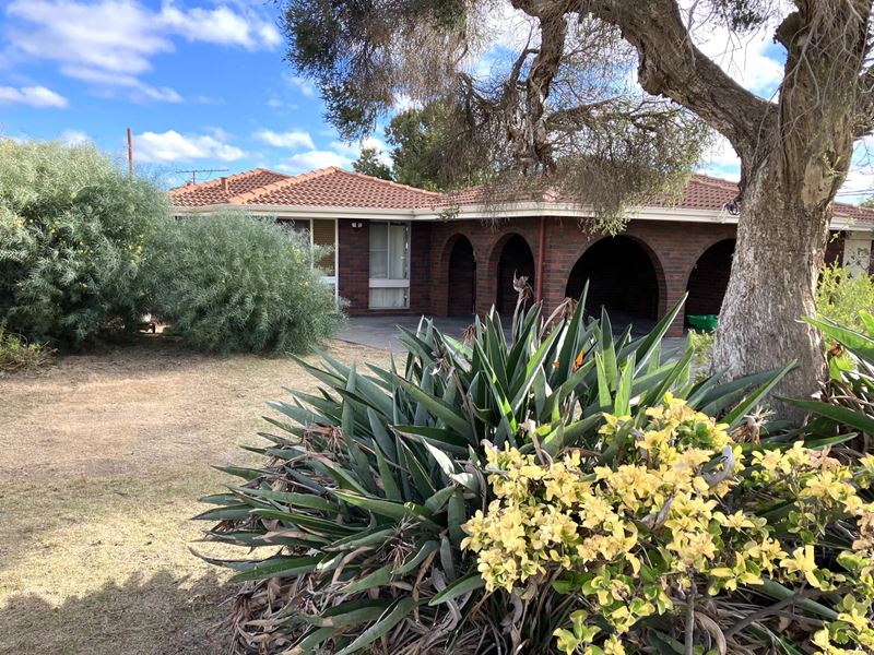 1b Merril Place, Ferndale