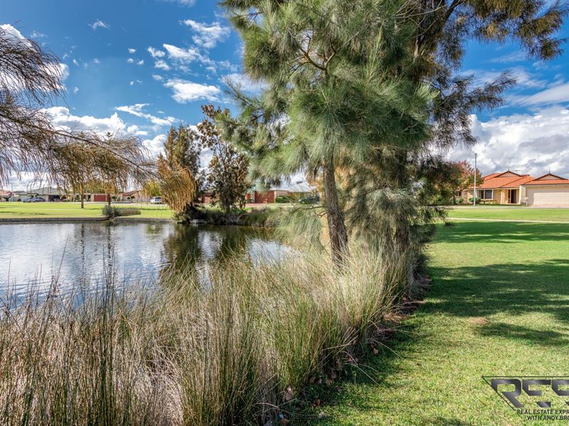 9 Totara Avenue, Canning Vale