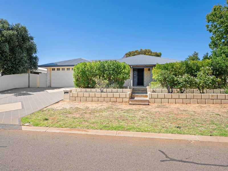 65 Paddington Drive, Hannans WA 6430