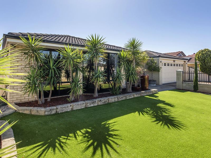 8 Potter Street, Huntingdale
