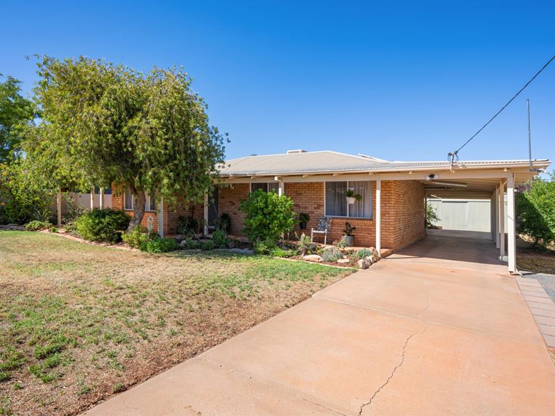 16 Cotter Place, Hannans WA 6430