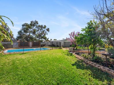 12 Eureka Street, Hannans WA 6430