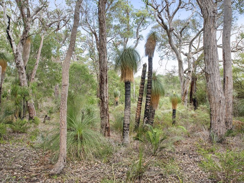 55 Sabina Drive, Molloy Island