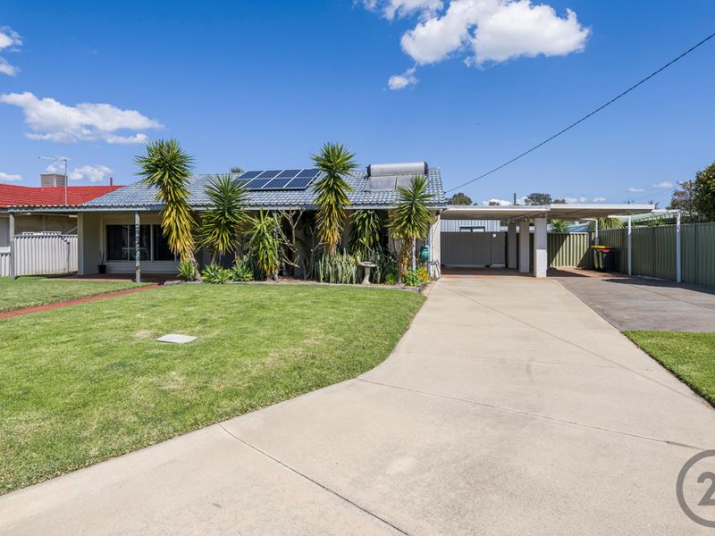 11 Grevillea Place, Pinjarra WA 6208