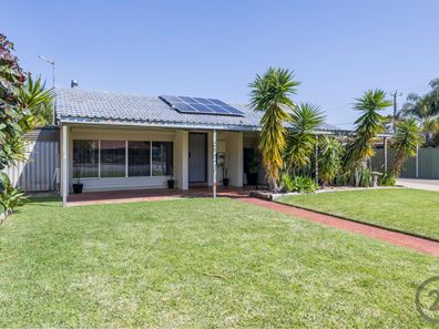 11 Grevillea Place, Pinjarra WA 6208