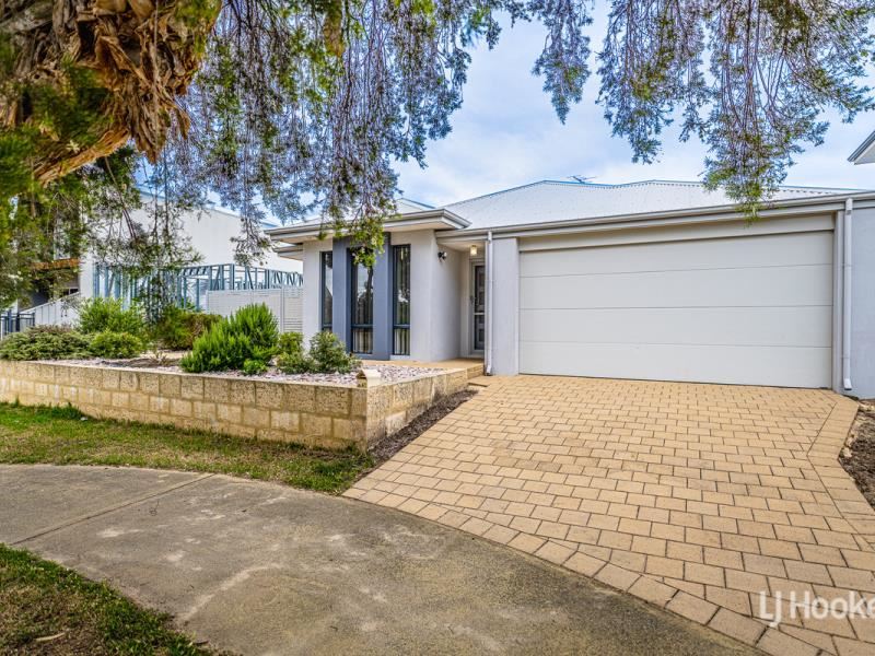41 Olive Road, Falcon