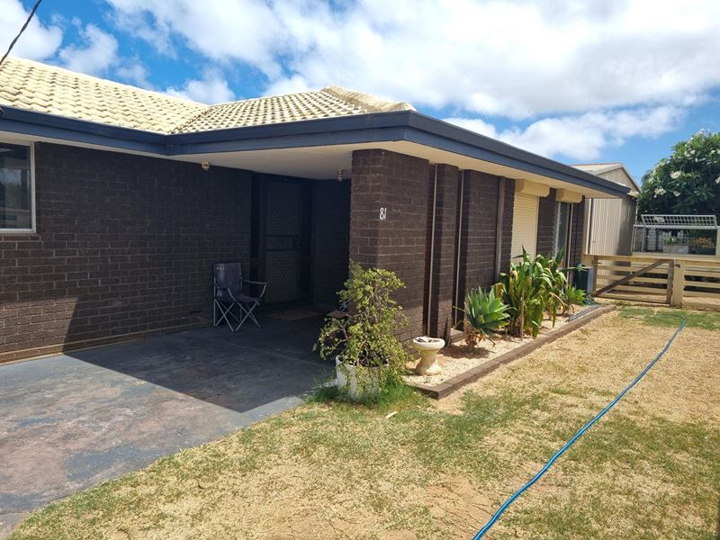 81 Drew Street, Spalding WA 6530