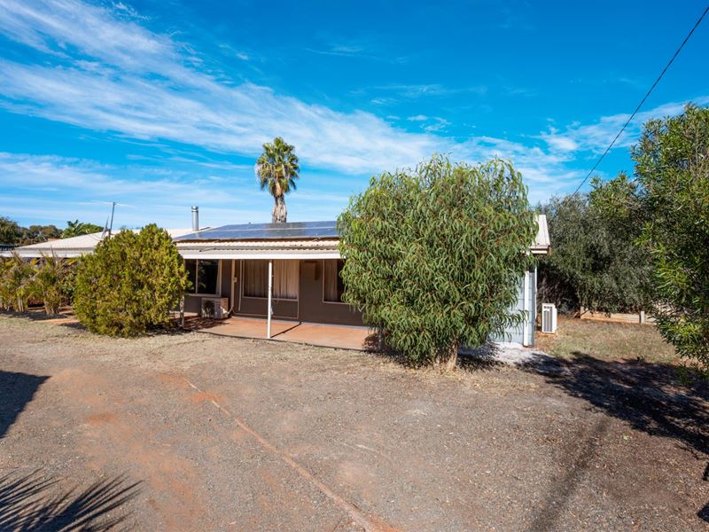 127 Lyall Street, Lamington