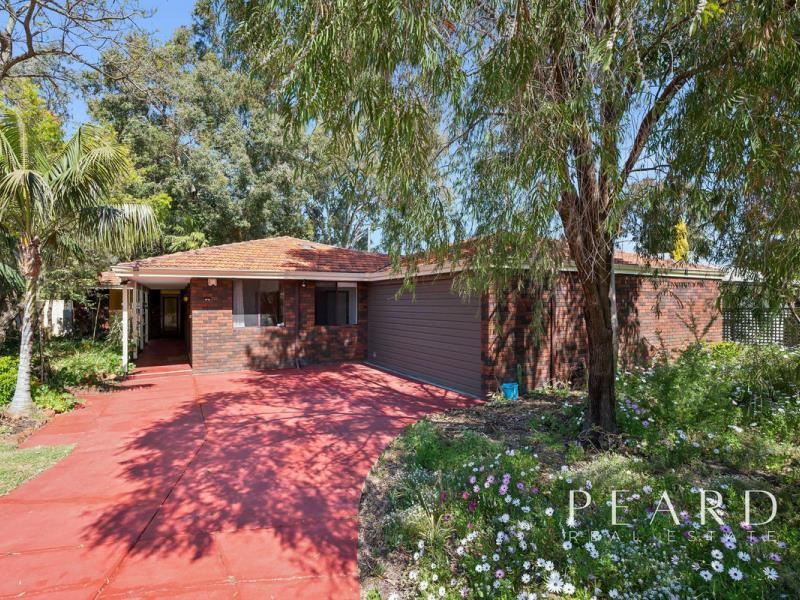 14 Princeton Court, Thornlie WA 6108