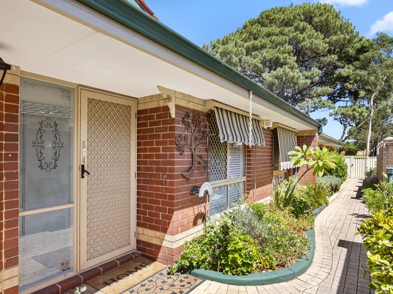 4/3 Tipuana Green, O'Connor