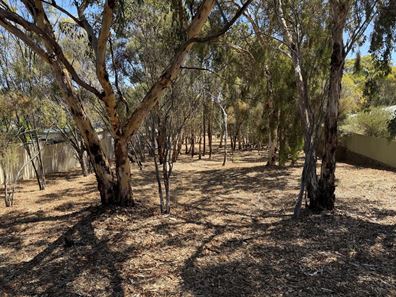 17 Nangip Crescent, Darkan WA 6392