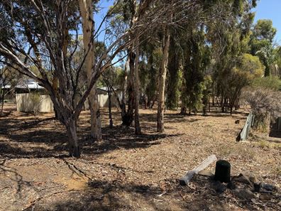 17 Nangip Crescent, Darkan WA 6392