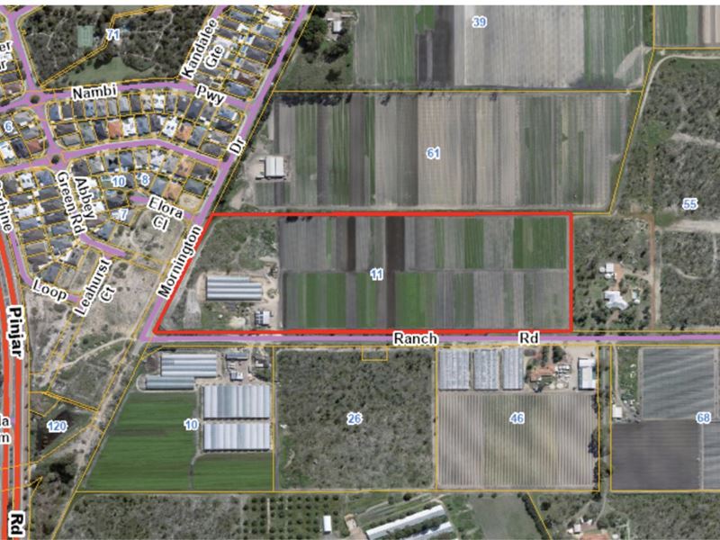 11 Ranch Road Mariginiup WA 6078, Mariginiup WA 6078