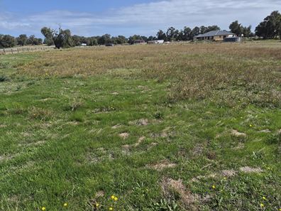 Lot 114 Sittella Grove, Crooked Brook WA 6236