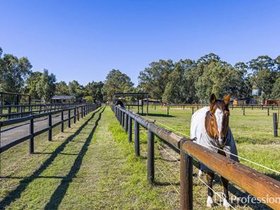 57 Hopkinson Road, Darling Downs WA 6122