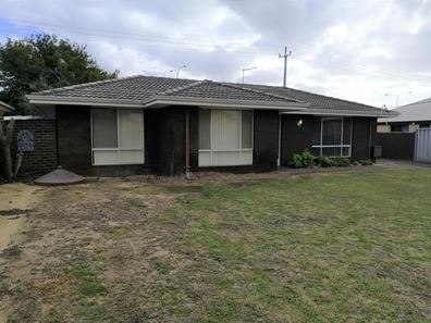 39 Piercy Way, Kardinya WA 6163