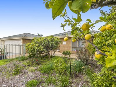 8 Redruth Court, Yanchep WA 6035
