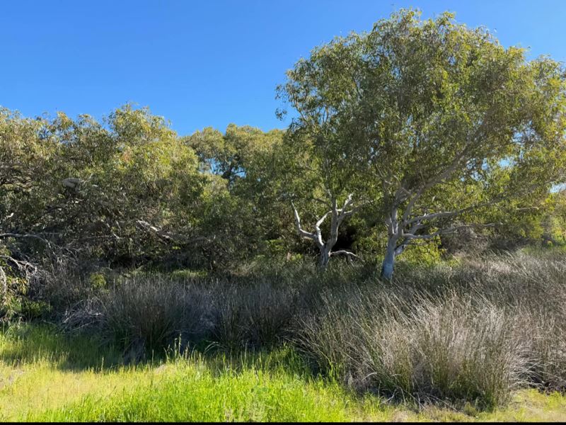 Lot 51 Northampton Port Gregory Road, Yallabatharra WA 6535