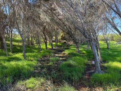 Lot 51 Northampton Port Gregory Road, Yallabatharra WA 6535