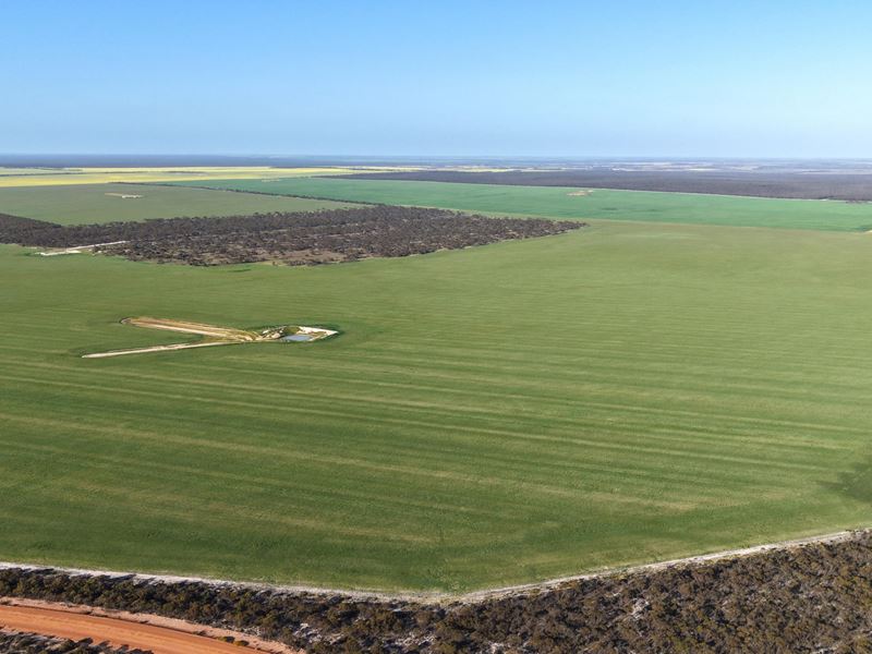 1663 Lake North Road, Jacup WA 6337