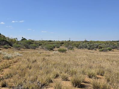 1122 North West Coastal Highway, Carnarvon WA 6701