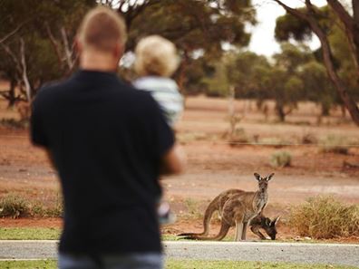 Lot 145 Pirring Way, Hannans, Kalgoorlie WA 6430