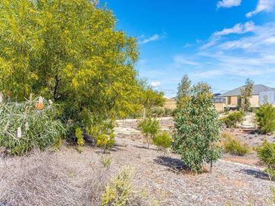 Lot 109,  Erba Lane, Landsdale WA 6065