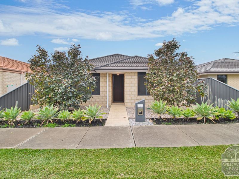 14 Bettong Street, Baldivis WA 6171