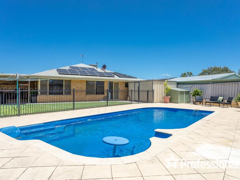 41 Bodicoat Drive, Brookdale